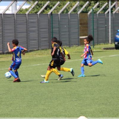 PLATEAU U6-7 USSM14