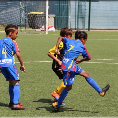 PLATEAU U6-7 USSM16