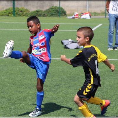 PLATEAU U6-7 USSM23