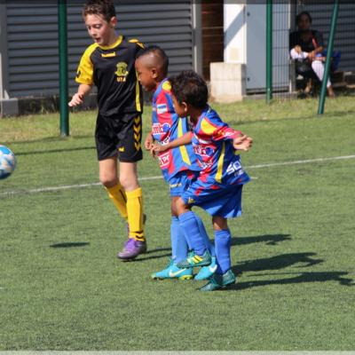 PLATEAU U6-7 USSM29