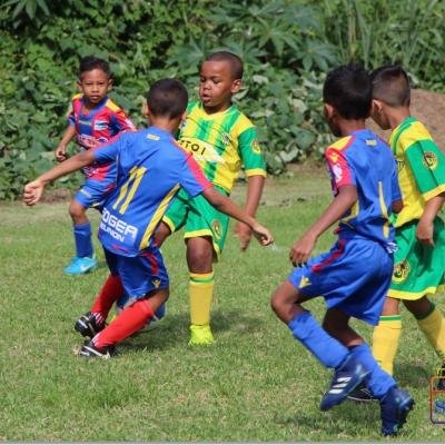 PLATEAU U7 SC DYNAMO10