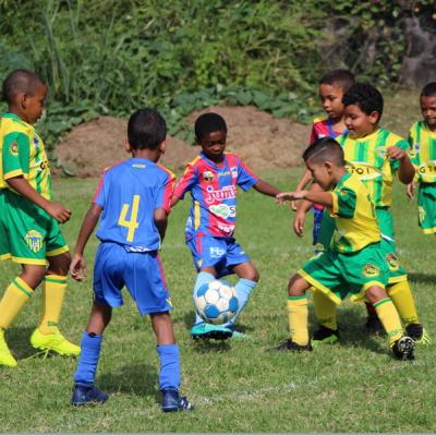 PLATEAU U7 SC DYNAMO11