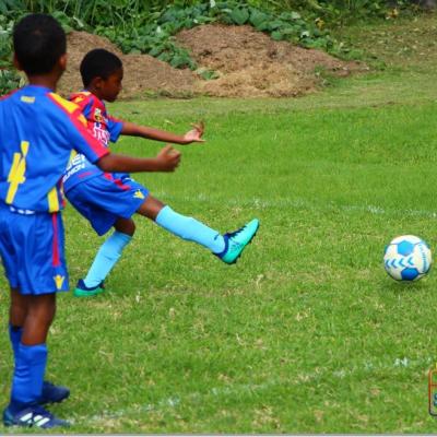 PLATEAU U7 SC DYNAMO14