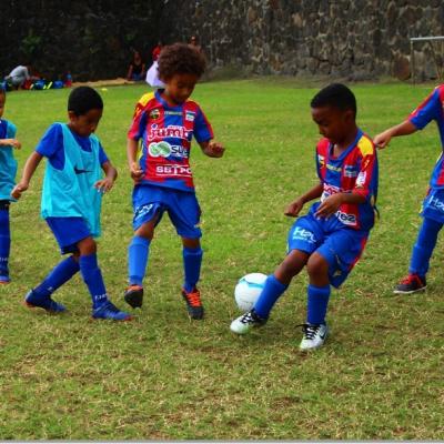 PLATEAU U7 SC DYNAMO16