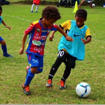 PLATEAU U7 SC DYNAMO17