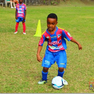 PLATEAU U7 SC DYNAMO18