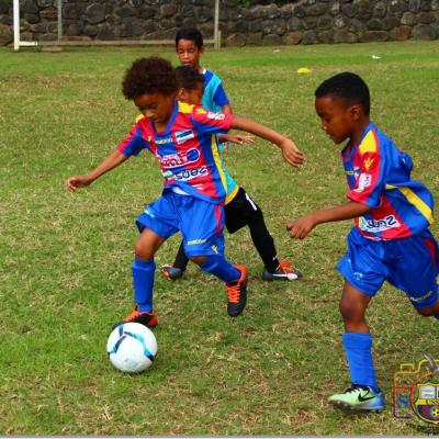 PLATEAU U7 SC DYNAMO21