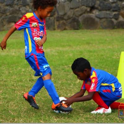 PLATEAU U7 SC DYNAMO22