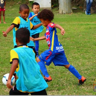 PLATEAU U7 SC DYNAMO23