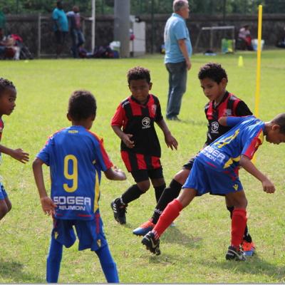 PLATEAU U7 SC DYNAMO28