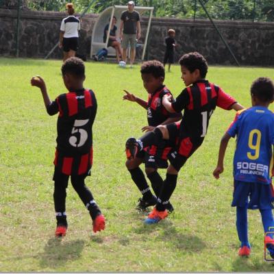 PLATEAU U7 SC DYNAMO29