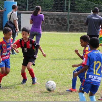 PLATEAU U7 SC DYNAMO30