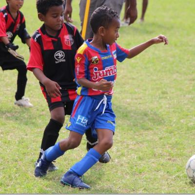 PLATEAU U7 SC DYNAMO33