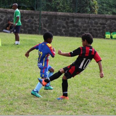 PLATEAU U7 SC DYNAMO36