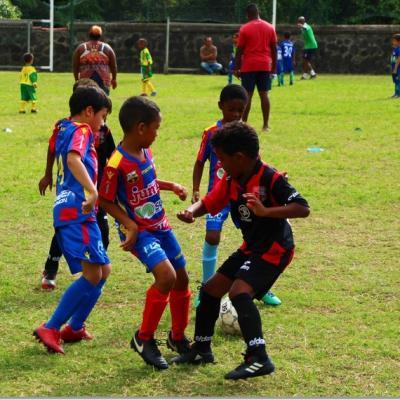 PLATEAU U7 SC DYNAMO37