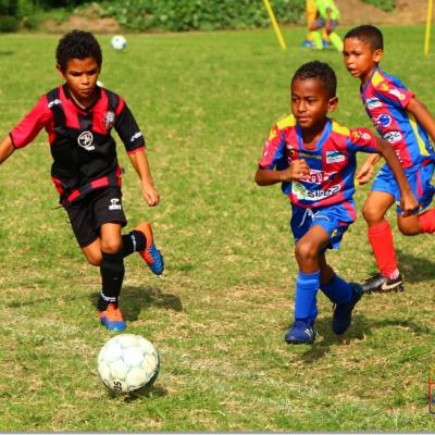 PLATEAU U7 SC DYNAMO43