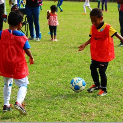 PLATEAU U7 SC DYNAMO46