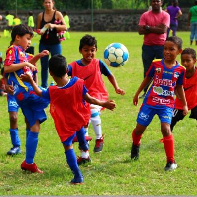 PLATEAU U7 SC DYNAMO47