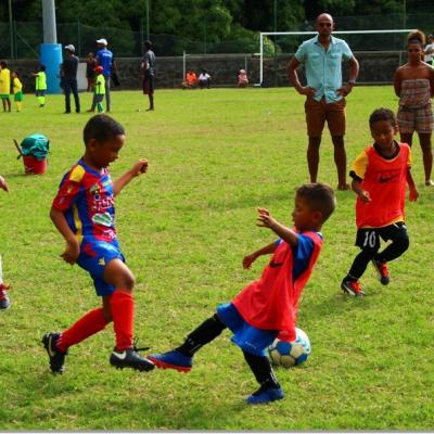 PLATEAU U7 SC DYNAMO48