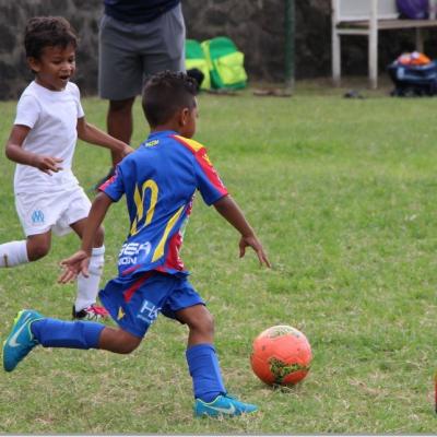 PLATEAU U7 SC DYNAMO50