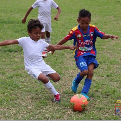 PLATEAU U7 SC DYNAMO53