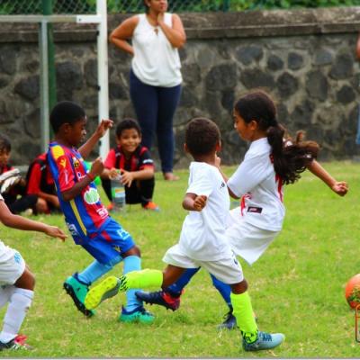 PLATEAU U7 SC DYNAMO54