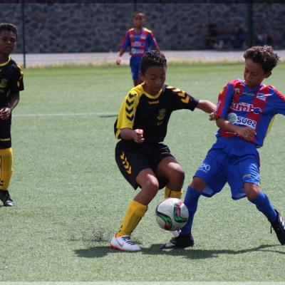 U11B USSM50