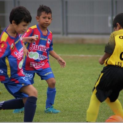 U7 LIGUE-USSM22